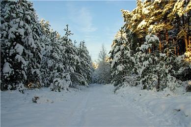 《毁灭全明星》工作室招聘新员工 开发虚幻引擎多人游戏