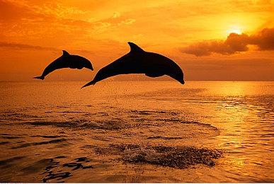 粉丝自制虚幻4《塞尔达传说：时之笛》10分钟视频展示